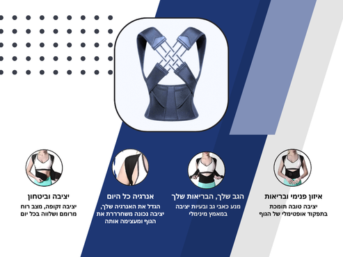 HIMODY החגורה המייצבת של  - ProBrace™